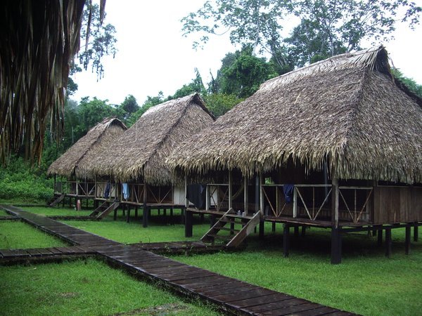 Camp in the Amazon