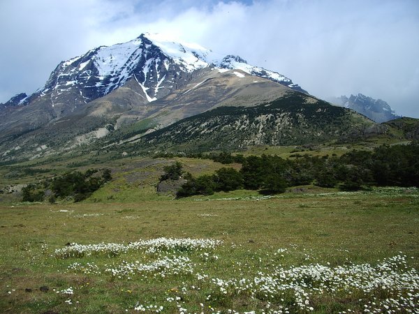 Final view to Torres del Paine