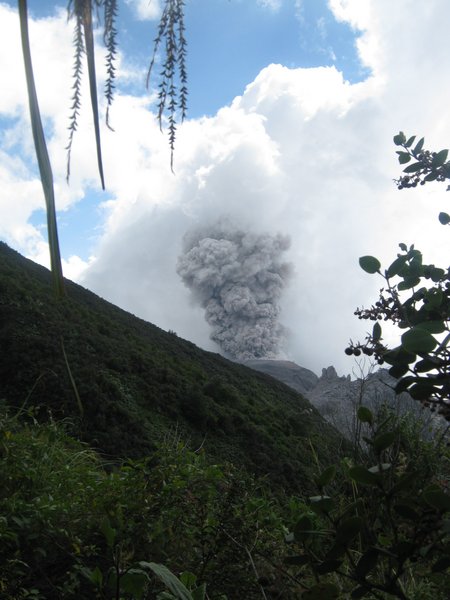 volcan Santiaguito. Guatemala