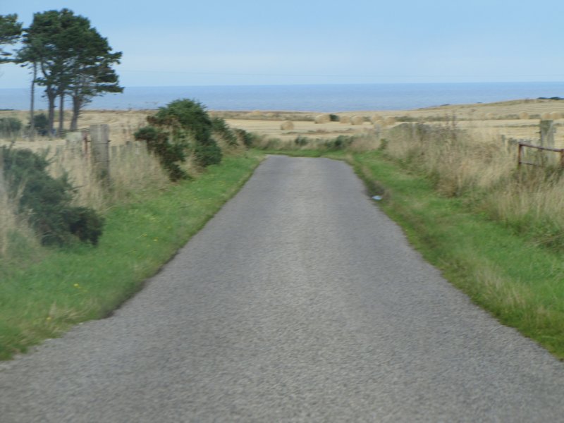 Narrow Road to Lighthouse