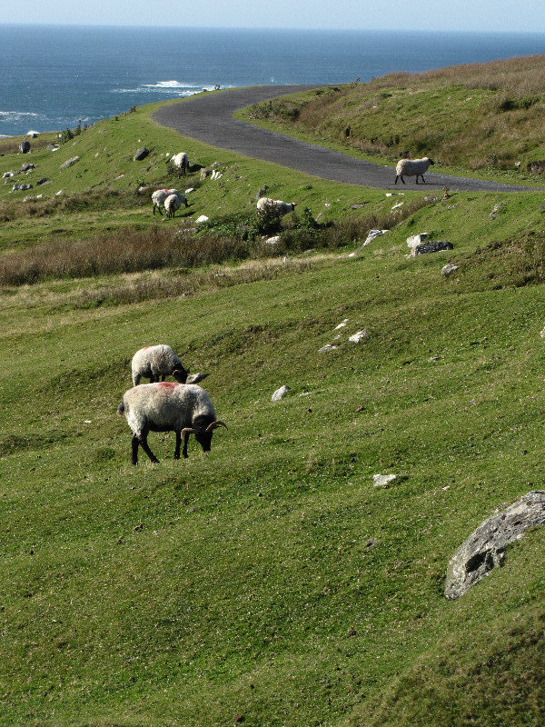 7 Views heading towards Achill Island County Mayo
