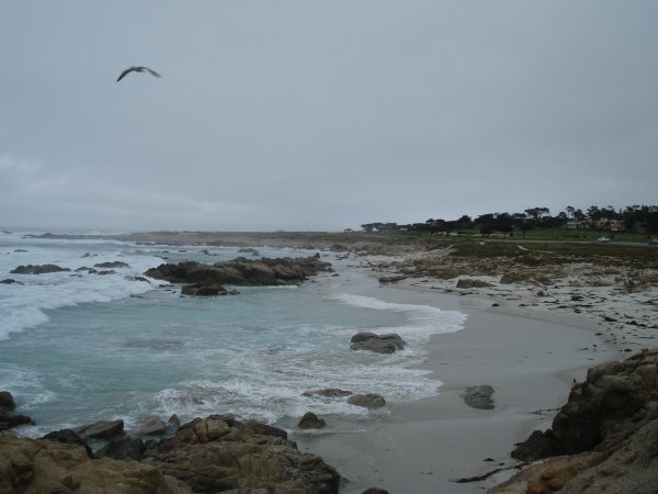 A stop at 17-mile drive, Monterey