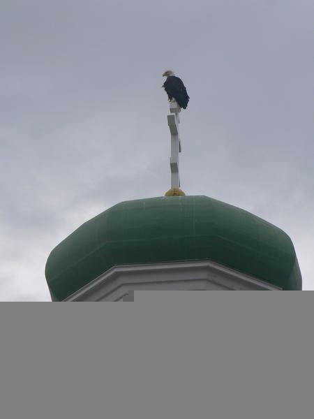 Eagle perched on Russian church