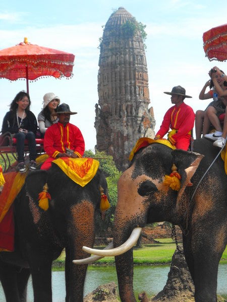 elephants and ruins - Ayutthaya