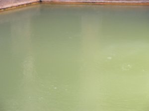 Mardi Bath Anciens bains romains Bouillons eau chaude