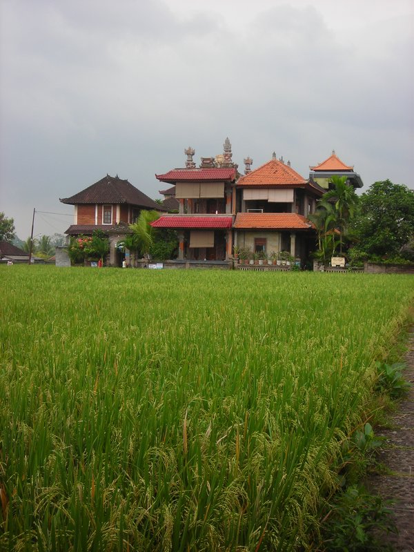 Our Place in Ubud