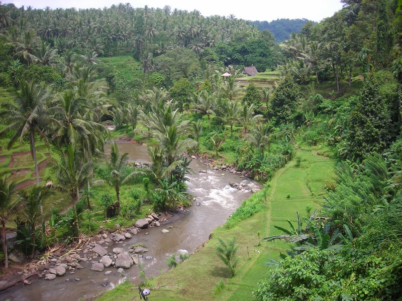 River valley trek near Ubud