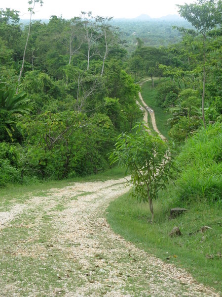Road back from Nim Li Punit