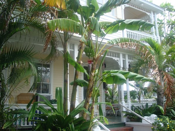 Southern most guest house in the USA