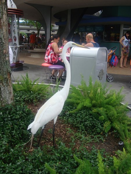 Kæmpe fugl midt i parken der tigger mad