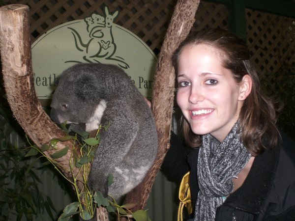Koalas are super soft