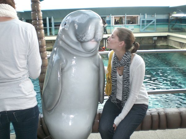 Showing some love for the dugong