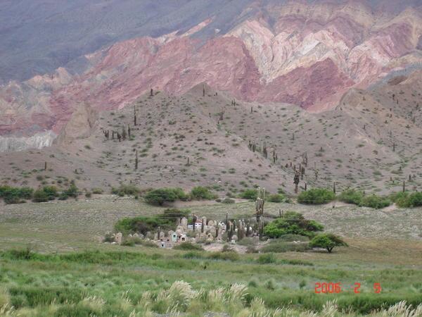 Cactus Cemetery