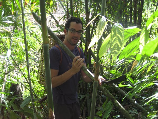 Adam in the Jungle