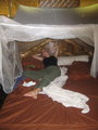 Mosquito Nets R-Us