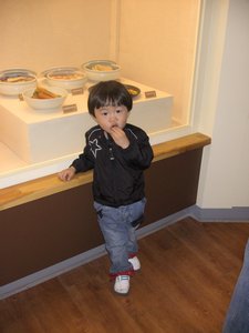Loved this little guy who came with our 'guide' of the ginseng museum