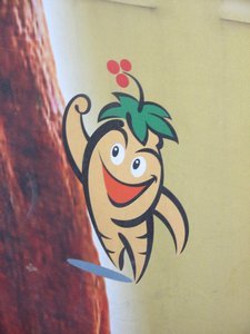 The ginseng town's mascot