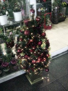 The first Christmas tree I've seen this season!