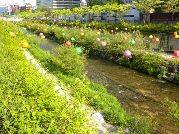 Lanterns along the stream in Seoul