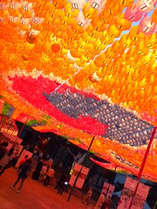 Sea of lanterns blanketing the compound