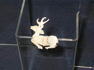 Deer at Shanghai museum