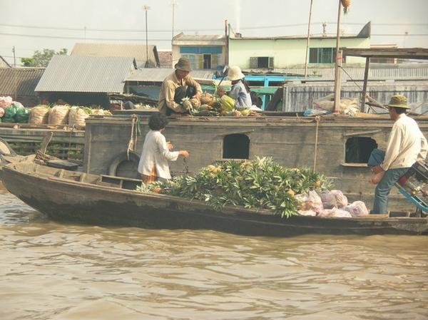 Mekong Delta 35
