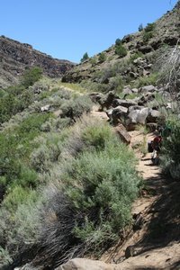 Bushwacking out of the Rio Grande Gorge
