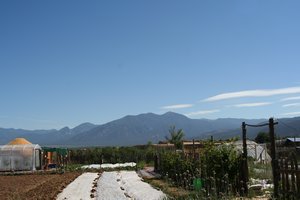 Jeff's Farm in Taos