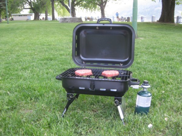 Our mini BBQ. Dinner in the park