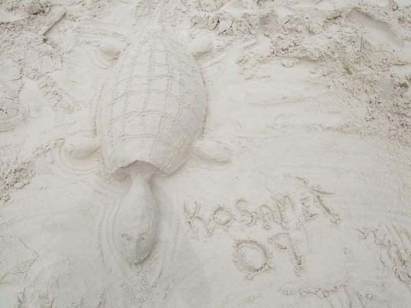 Pat's sand sculpture