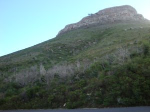 View of Lion's Head 