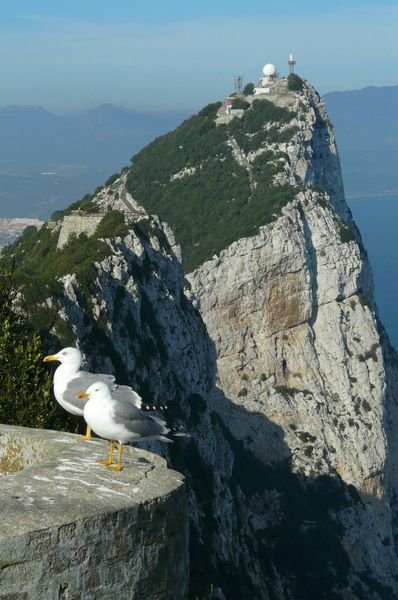 Top of Gibraltar