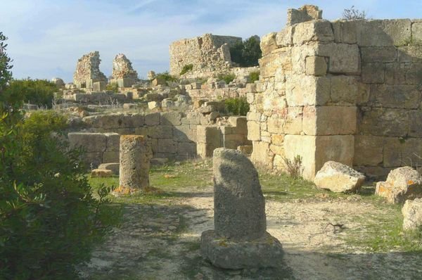 The Roman ruins of Lixus