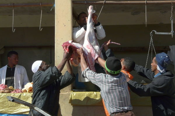 Side of lamb for sale at Tinzouline souk, Morocco