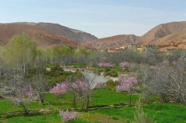 Springtime in the Dades Gorge