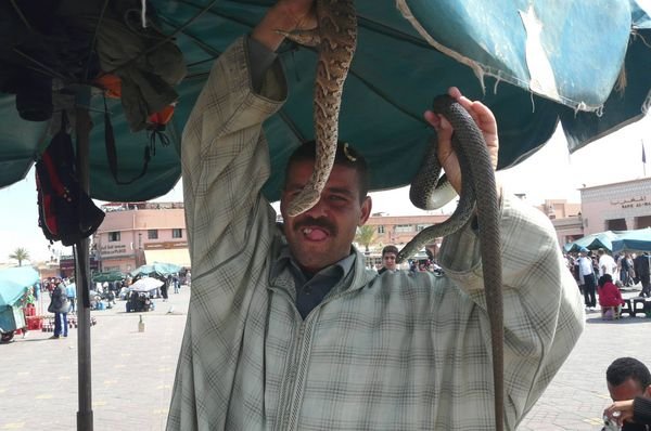 Hey mister, wanna hold my snake?