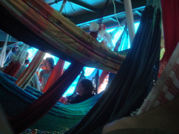 A different angle, from the same hammock