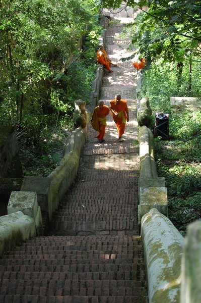 monks heading towards the mountain wat