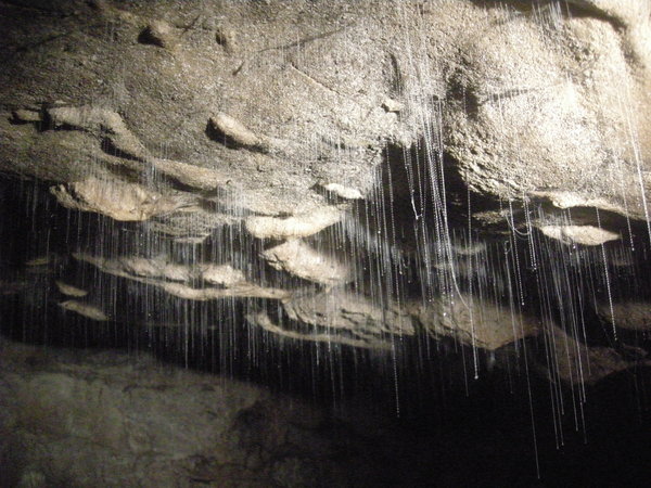 Wanganui Cave