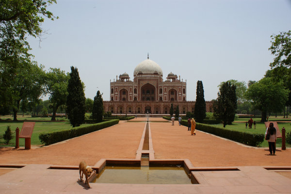 Humayun's Tomb and pooch