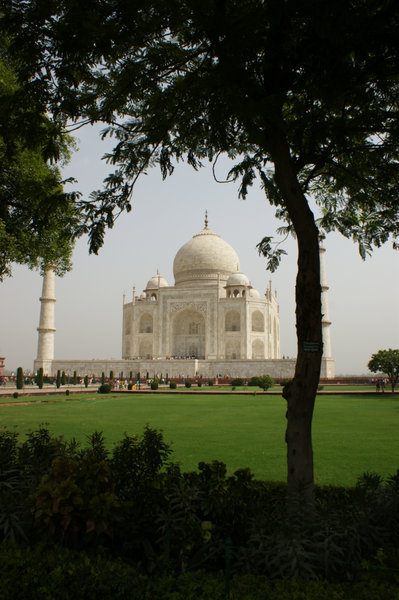 the Taj again