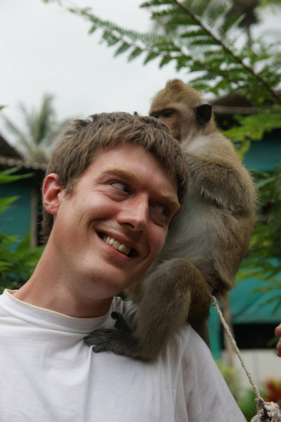 monkey on the shoulder round 2