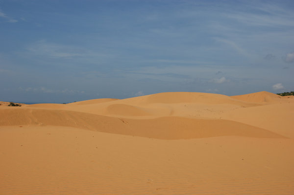 sand as far as the eye can see