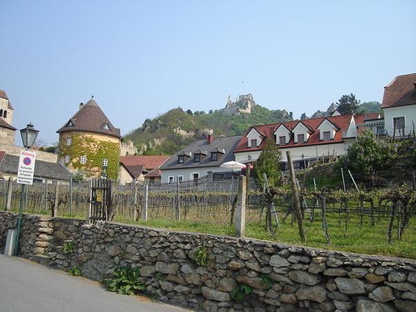 Castle and vineyards