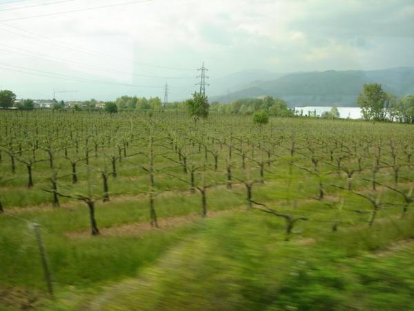 Typical Italian scenery whizzing by out the train window