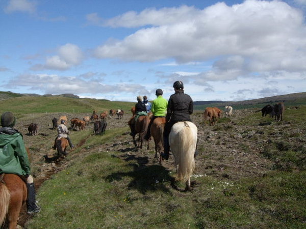 Tour riders herding spare horses as we go 180609