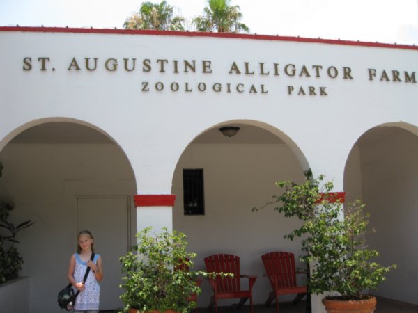 Alligator Farm