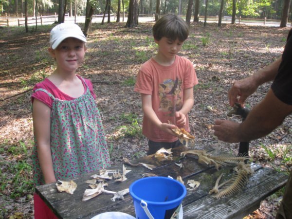 Finding Treasures in the Swamps at Santee State Park