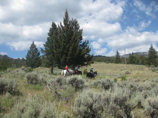 riding in Yellowstone, WY