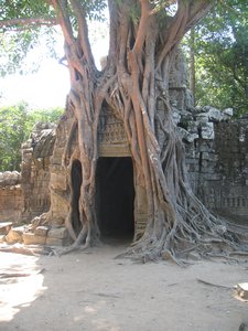 Tomb Raider temple